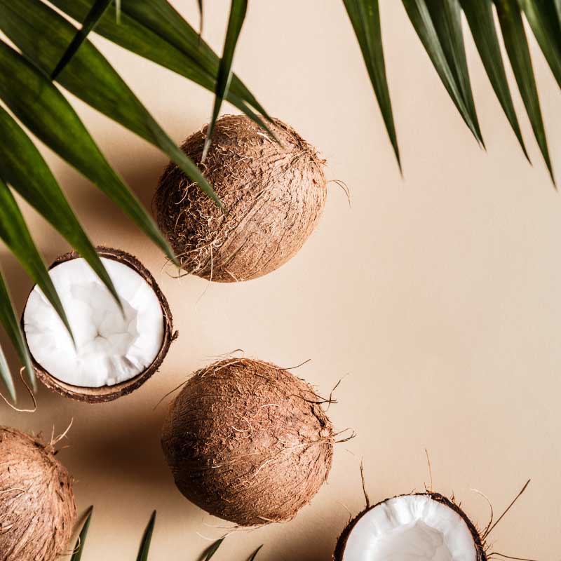 coconut oil for your skin