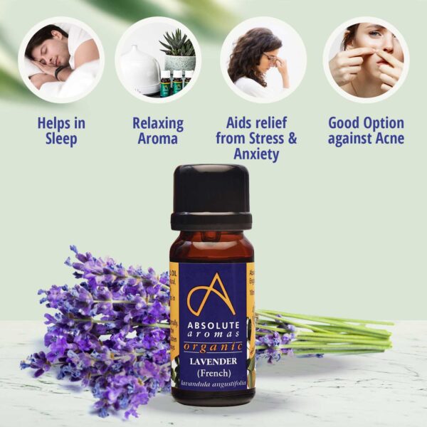 Benifit of Organic French Lavender Essential Oil