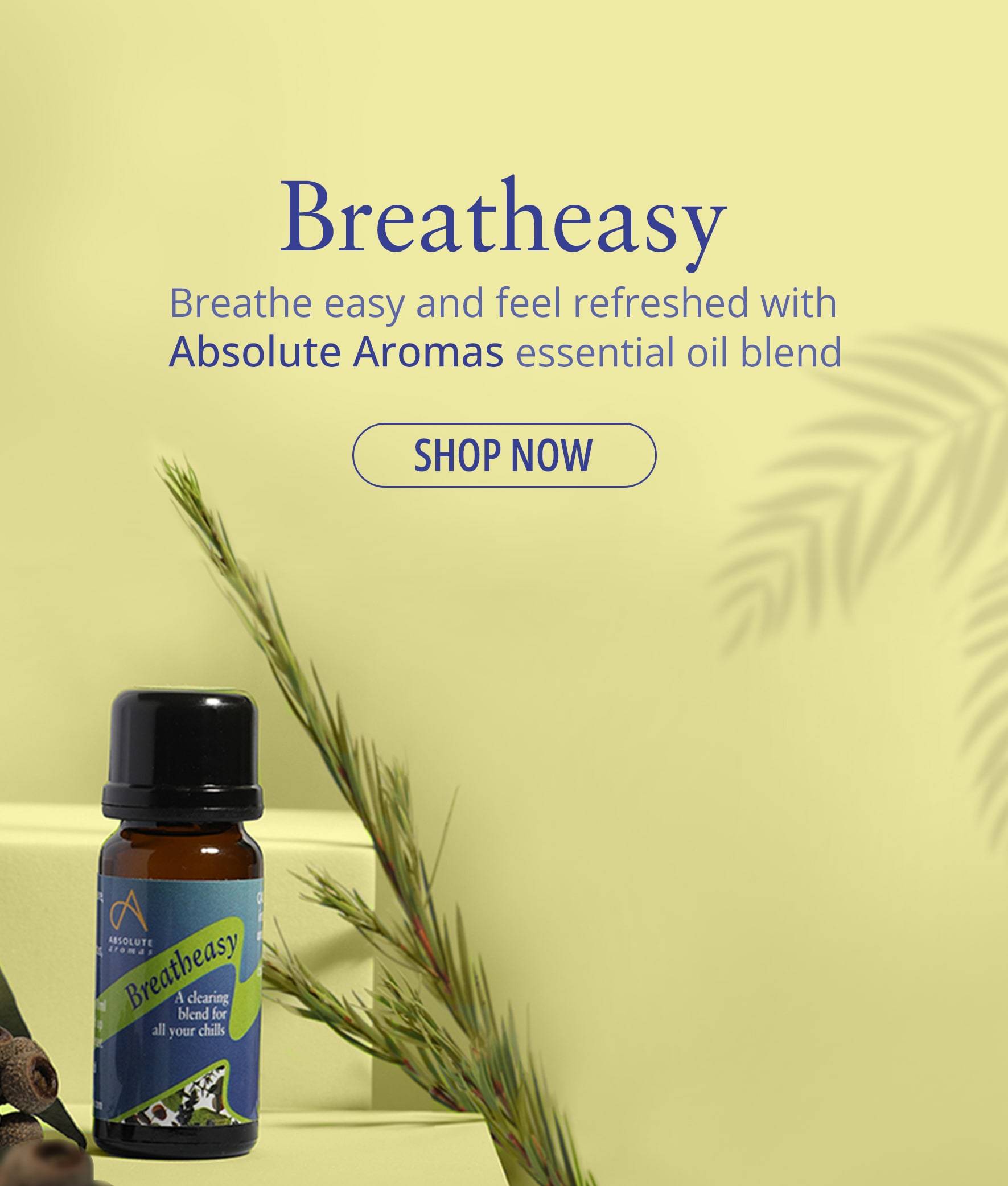 AromAbout Car Diffuser Banner